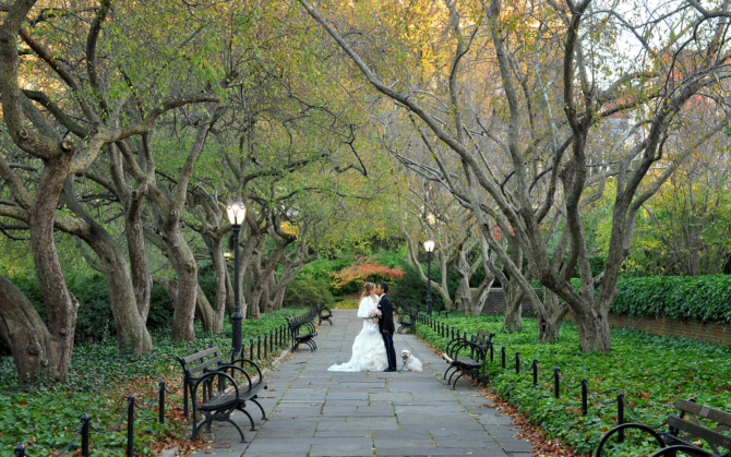 Bride and Groom walk through the crabapple trees by: Steve Worth